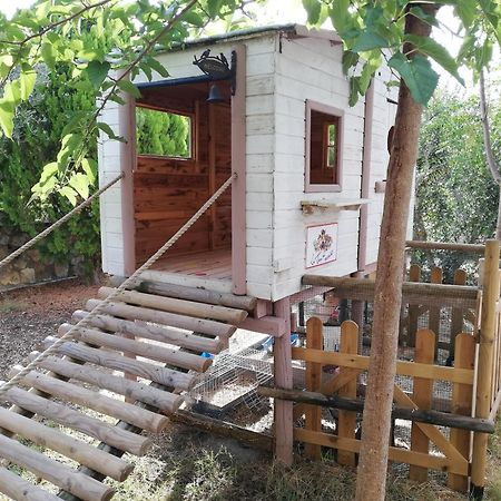 Azienda Agrituristica Le Betulle Riotorto Dış mekan fotoğraf