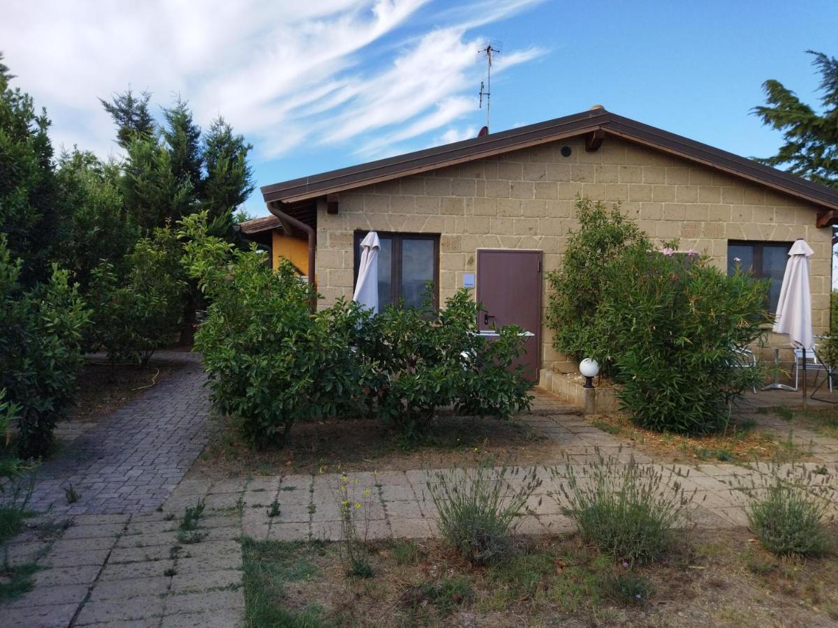 Azienda Agrituristica Le Betulle Riotorto Dış mekan fotoğraf