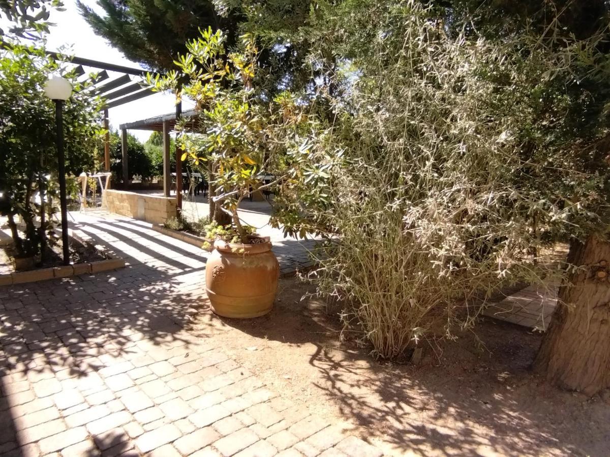 Azienda Agrituristica Le Betulle Riotorto Dış mekan fotoğraf