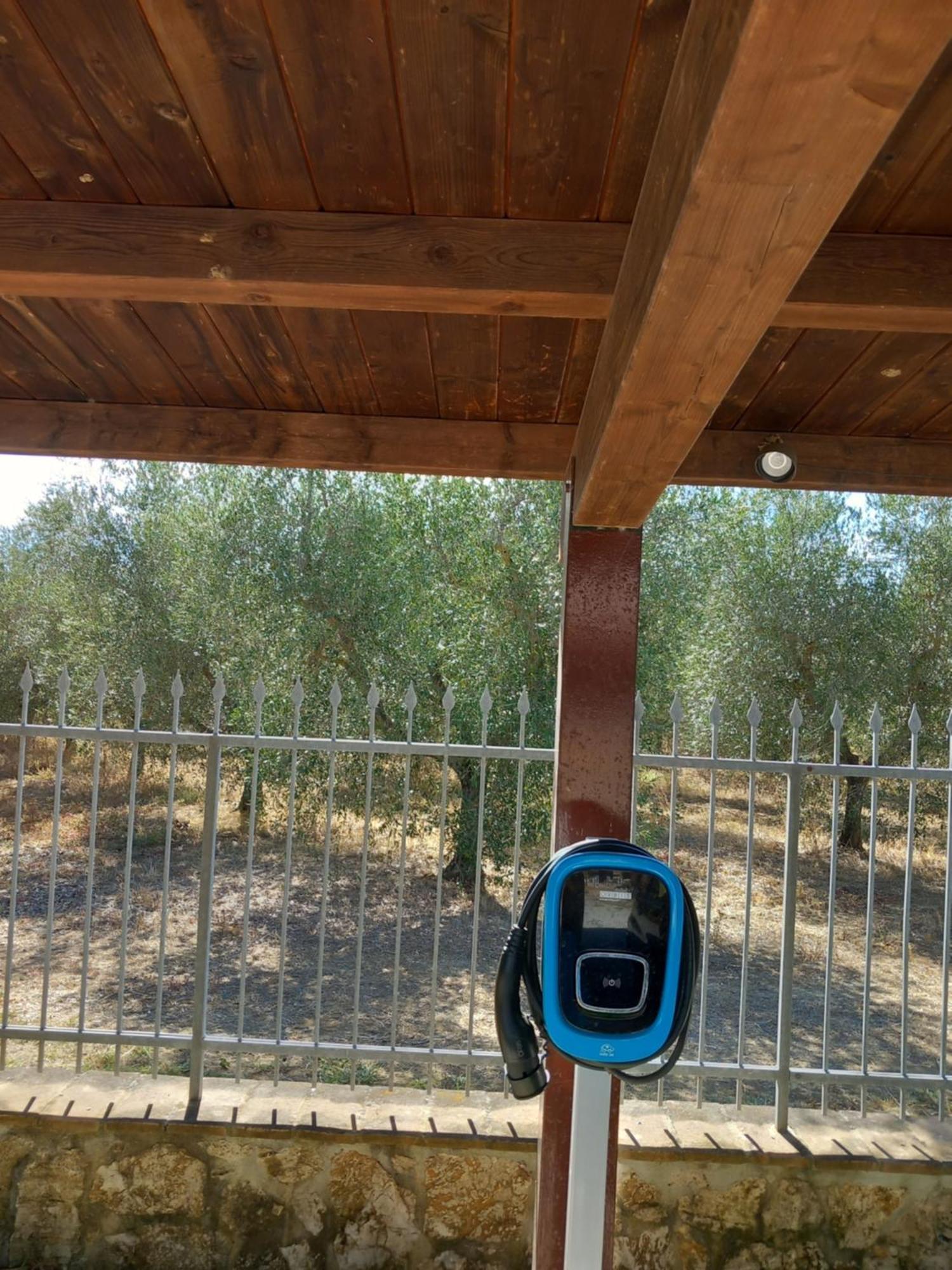 Azienda Agrituristica Le Betulle Riotorto Dış mekan fotoğraf