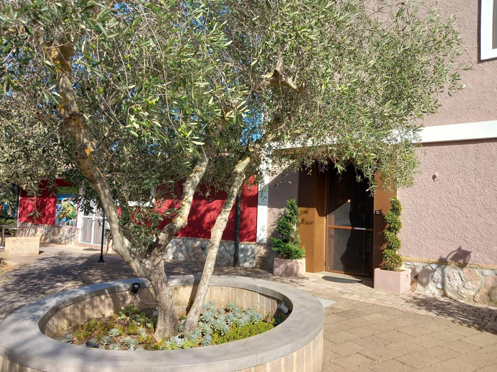 Azienda Agrituristica Le Betulle Riotorto Dış mekan fotoğraf