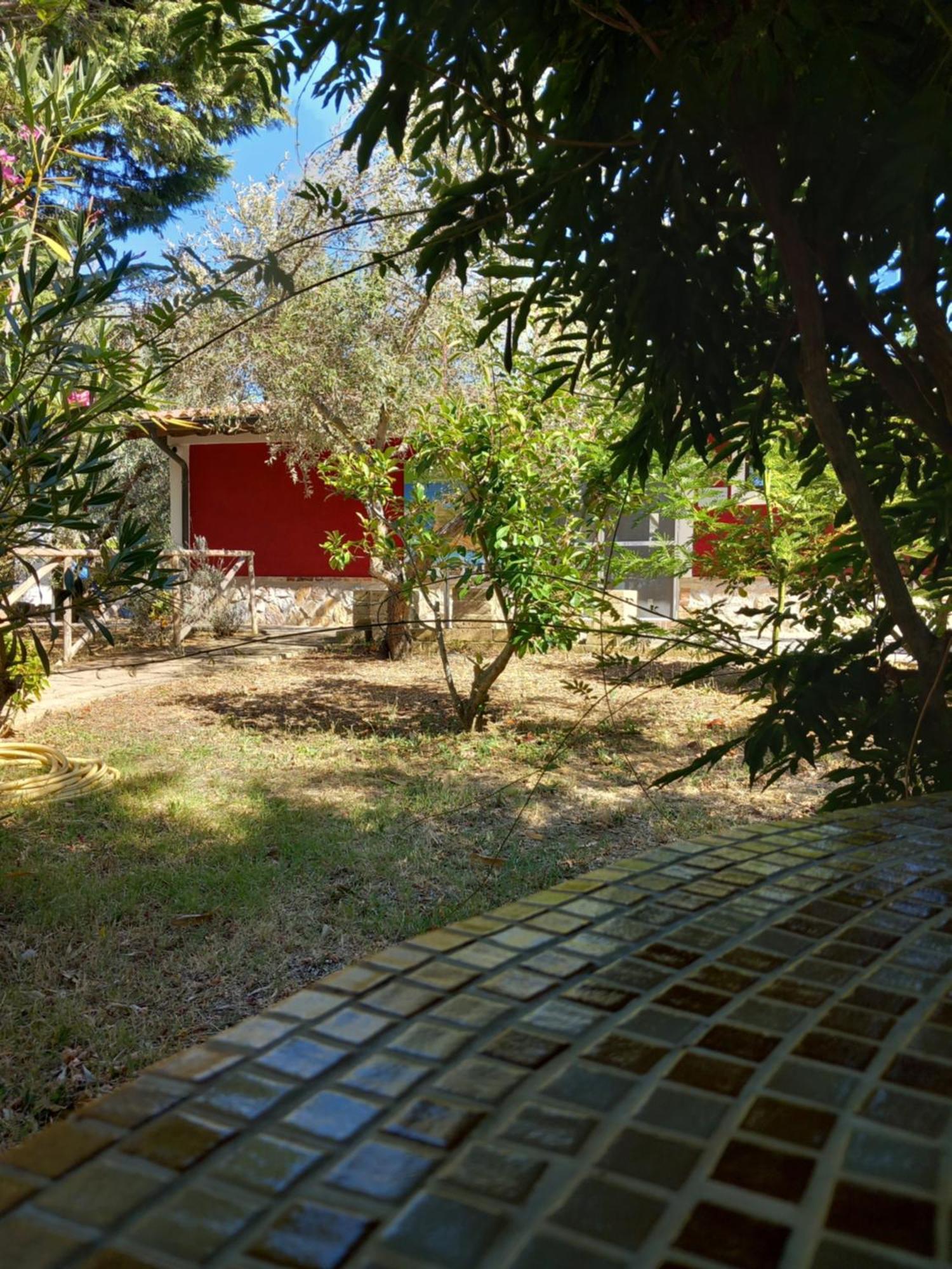 Azienda Agrituristica Le Betulle Riotorto Dış mekan fotoğraf