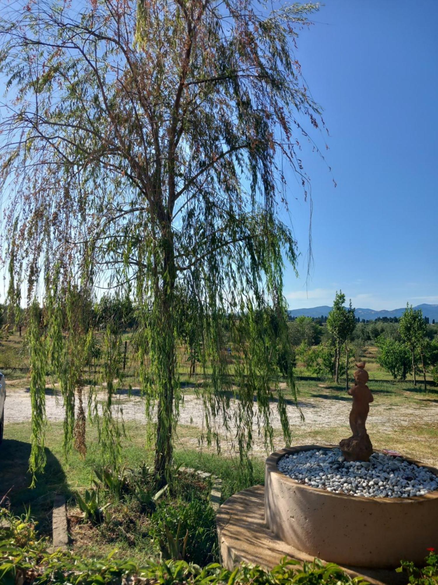 Azienda Agrituristica Le Betulle Riotorto Dış mekan fotoğraf