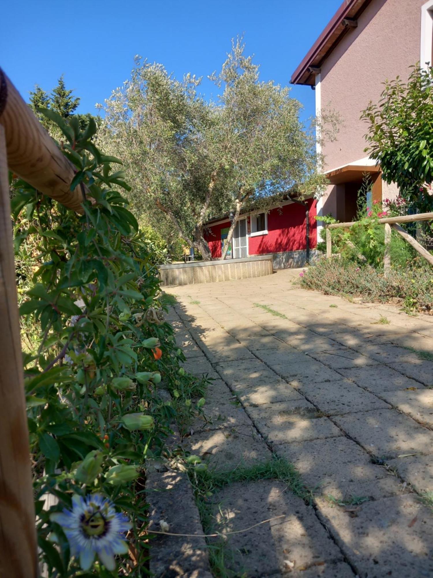 Azienda Agrituristica Le Betulle Riotorto Dış mekan fotoğraf