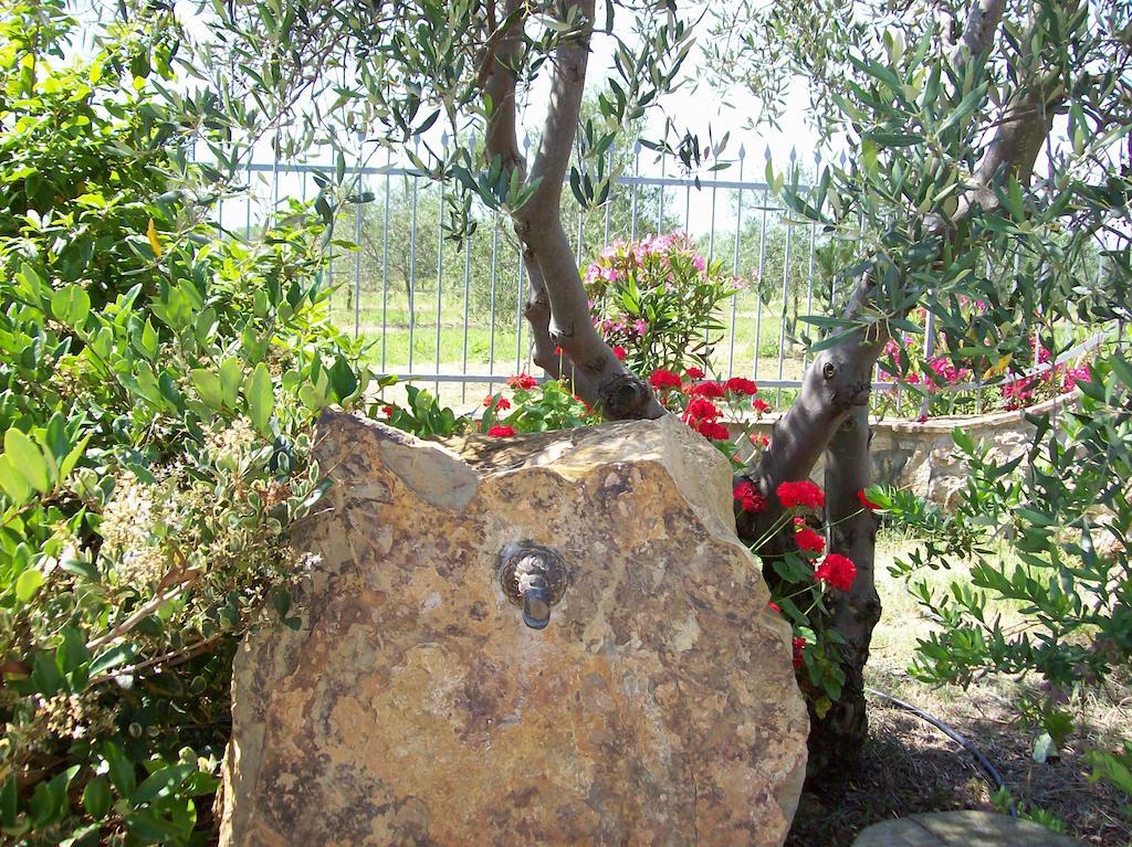 Azienda Agrituristica Le Betulle Riotorto Dış mekan fotoğraf