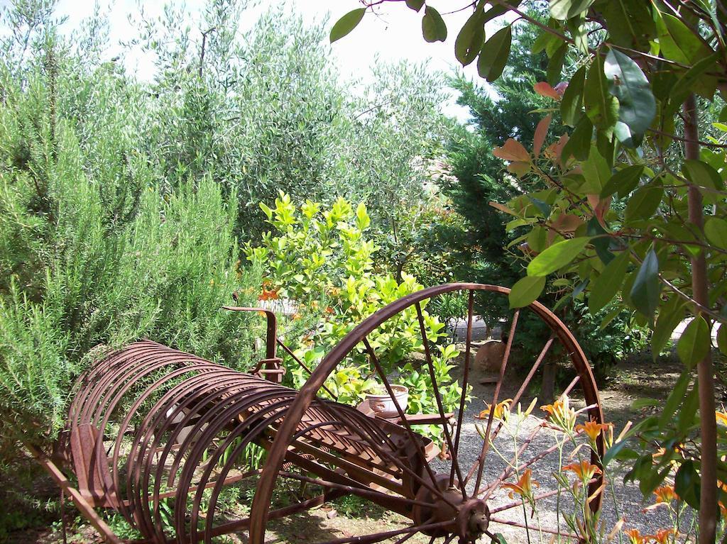 Azienda Agrituristica Le Betulle Riotorto Dış mekan fotoğraf