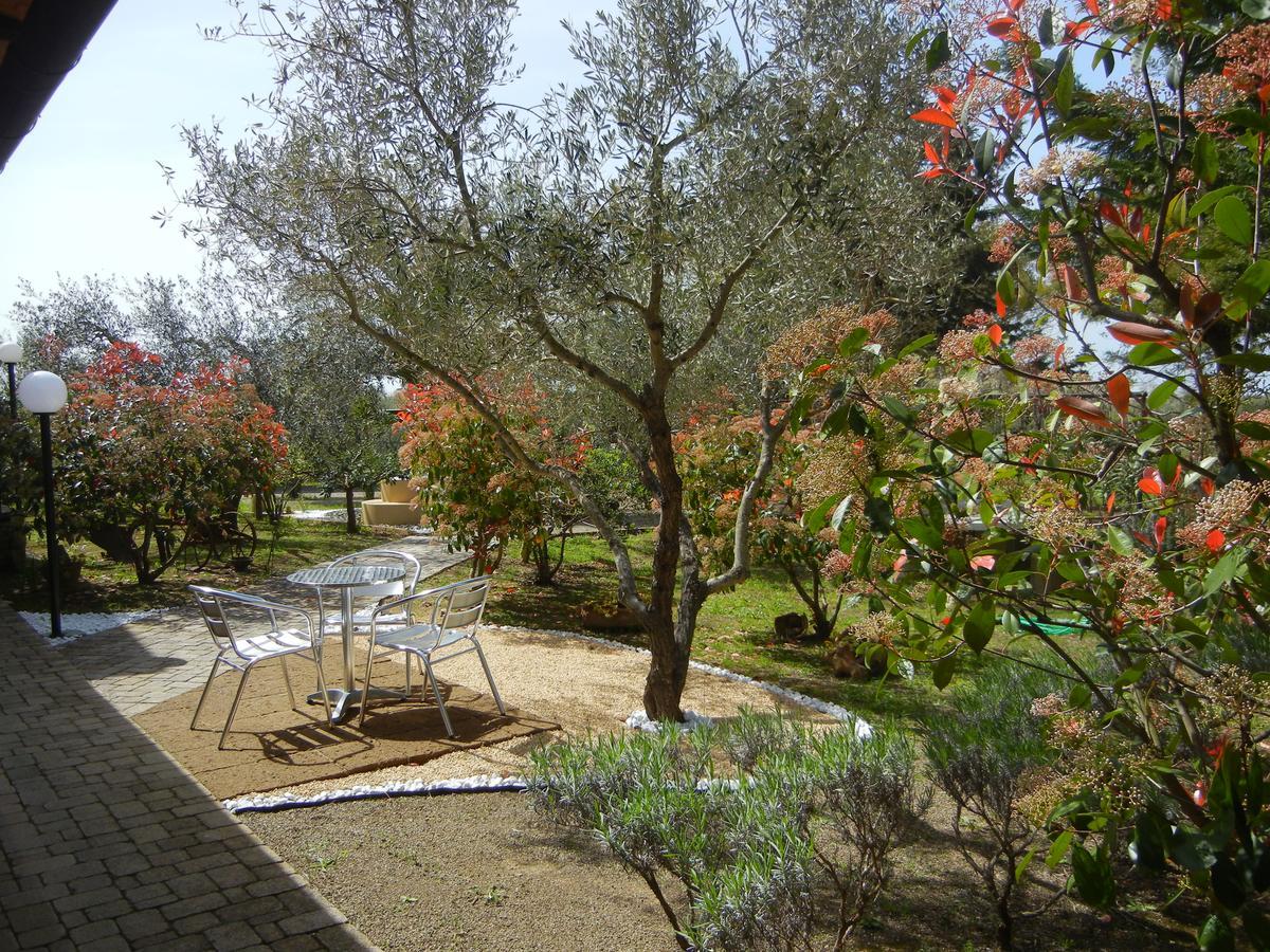 Azienda Agrituristica Le Betulle Riotorto Dış mekan fotoğraf